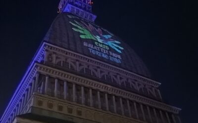 Medici, pazienti e associazioni: costruire reti per migliorare le cure pediatriche